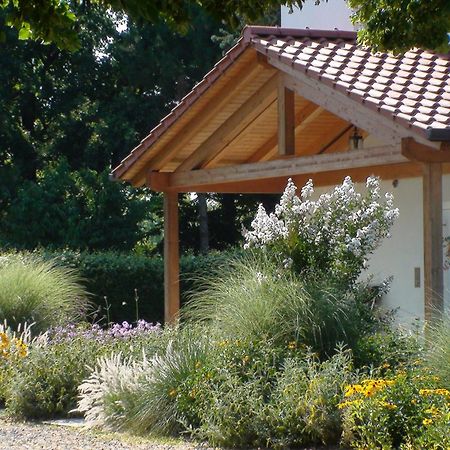 Villa Gina Zero Branco Dış mekan fotoğraf